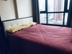 Condo for rent Near BTS Phra Khanong  The Line Sukhumvit 71