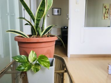 นางสาวรัญญ์นภัส