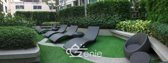 Condo for rent 1 Bedroom 33 SQM. Supalai city (Sukumvit 105)