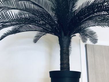 2 ห้องนอน 2 ห้องน้ำ โครงการใหม่ ใกล้ BTS ทองหล่อ พร้อมให้เช่า ราคาพิเศษสุด