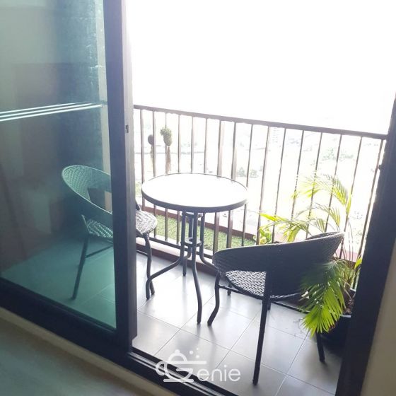 Apartment For Rent at Wyne by Sansiri 1 Bedroom 1 Bathroom 23,000THB/month Fully furnished (can negotiate) PROP000314