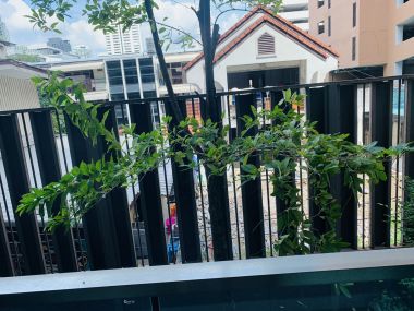 ปล่อยเช่า! The Address Sukhumvit 61 เพียง 55, 000บาท/เดือน 2 ห้องนอน 2 ห้องน้ำ 66ตรม. ห้องใหญ่อยู่สบาย ใกล้ BTS เอกมัยเฟอร์นิเจอร์ครบพร้อมเข้าอยู่