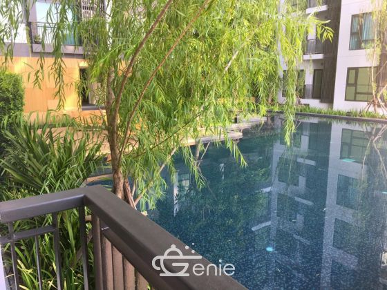 For rent Rhythm Sukhumvit 36-38 floor 5 nearby BTS Tong lor 400 M.