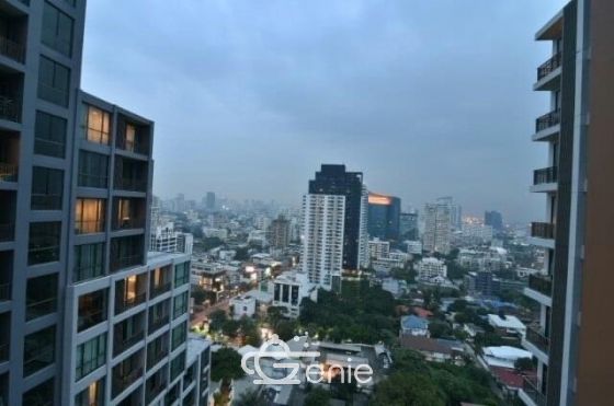 For rent condo Quattro  by Sansiri thonglor soi 4   Nearby  BTS  Thonglor