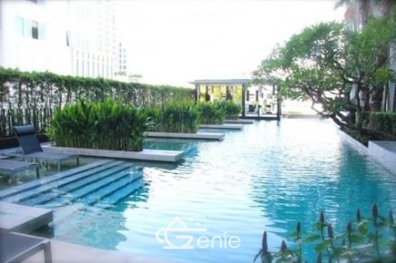 For rent condo Quattro  by Sansiri thonglor soi 4   Nearby  BTS  Thonglor