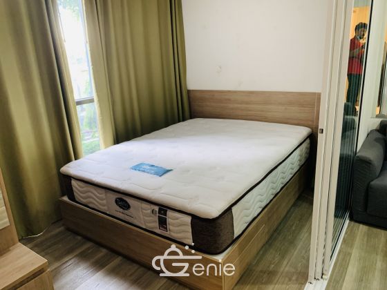 ให้เช่า The Moniiq Sukhumvit 64 1 ห้องนอน 28 ตรม ใกล้ BTS ปุณวิถี เพียง 9,000 บาท/เดือน เฟอร์นิเจอร์ครบพร้อมเข้าอยู่
