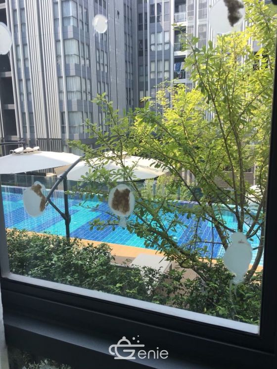 Condo for rent / Sale at The Moniiq Sukhumvit 64 1 Bedroom 1 Bathroom Fully furnished