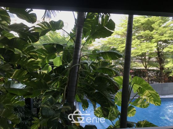 For Rent! at The Seed Musee 1 Bedroom 1 Bathroom 29,000THB/Month Fully furnished PROP000124