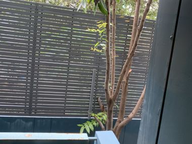 ขาย/เช่า