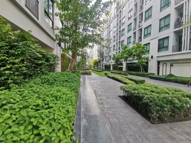 ขายด่วน NOTTINGHILL Sukumvit 105