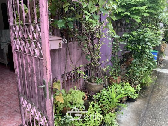 For sale Town House Soi Ladprao 83