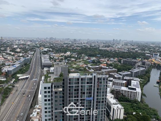 for rent at Lumpini Place Rama9 - Ratchada 1 Bedroom 1 Bathroom 14,000THB/month Fully furnished