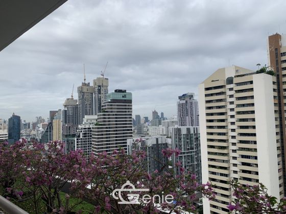 For rent at La Cascade Condominium 4 Bedroom 4 Bathroom 150,000THB/month Fully furnished