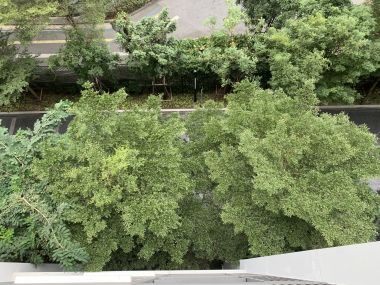 ** Hot Deal! ** For rent at Life Sukhumvit 48 2 Bedroom 2 Bathroom 19,000THB/month Fully furnished