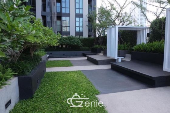 For rent at Rhythm Ekamai Type Studio 31 Sq.m. 23,000THB/month Fully furnished