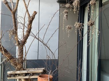 For rent at The Met 2 Bedroom 2 Bathroom 50,000THB/month Fully furnished