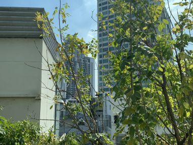 HOT++ For sale/rent at Life Sukhumvit 67 Sale 9,500,000 THB 2 Bedroom 2 Bathroom 36,000THB/month Fully furnished