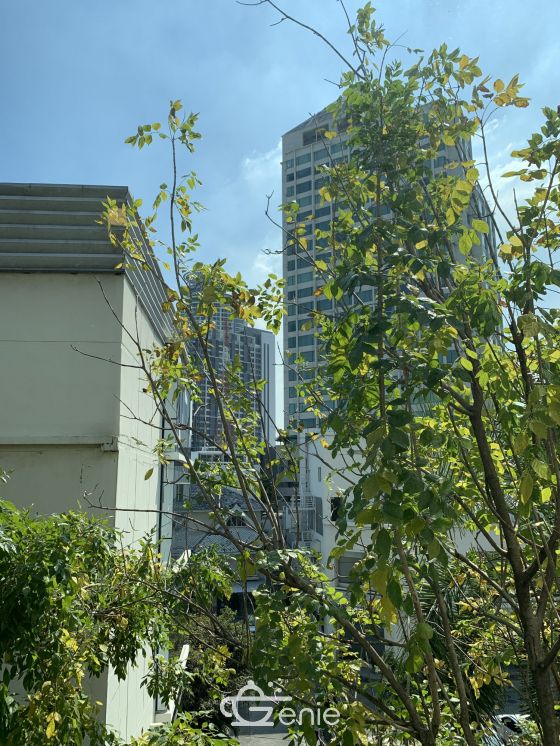 HOT++ For sale/rent at Life Sukhumvit 67 Sale 9,500,000 THB 2 Bedroom 2 Bathroom 36,000THB/month Fully furnished