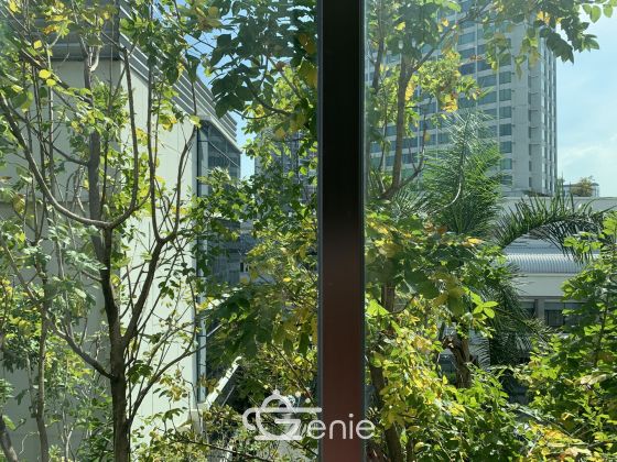 HOT++ For sale/rent at Life Sukhumvit 67 Sale 9,500,000 THB 2 Bedroom 2 Bathroom 36,000THB/month Fully furnished