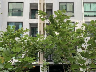 For rent at Zenith Place Sukhumvit 42  Size 28.5 sqm. 1 Bedroom 1 Bathroom Floor 2nd 12,000THB/month Fully furnished