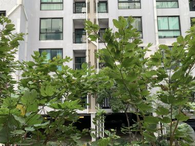 For rent at Zenith Place Sukhumvit 42  Size 28.5 sqm. 1 Bedroom 1 Bathroom Floor 2nd 12,000THB/month Fully furnished