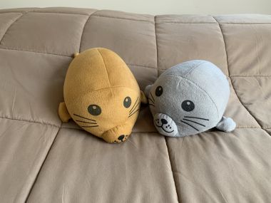 ทาวน์เฮ้าส์หลังมุมไตล์โมเดิร์นพร้อมสวนหลังบ้านส่วนตัว โครงการ Eco Space Bangna