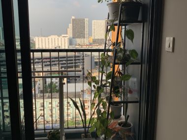 🔥Best Price 🔥 condo for sale เดอะ ทรี สุขุมวิท 71 - เอกมัย ขายคอนโดสวย ใหญ่ วิวเมือง ไม่เคยปล่อยเช่า