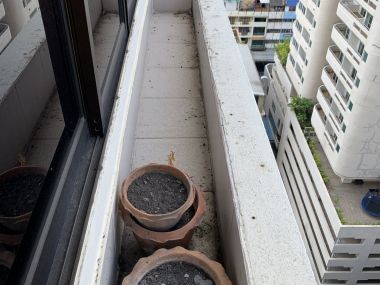 For rent at Saranjai Mansion Type Studio 35 Sq.m 15,000THB/Month Fully furnished