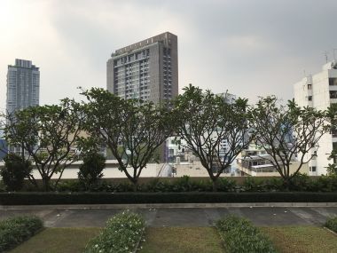 ** Super Deal! ** Life @Sukhumvit 65 ปล่อยเช่า ในราคาเพียง 16,000บาท/เดือน 1 ห้องนอน 1 ห้องน้ำ 31 ตรม. ใกล้ BTS พระโขนง เฟอร์นิเจอร์ครบพร้อมเข้าอยู่ (ราคาต่อรองได้)