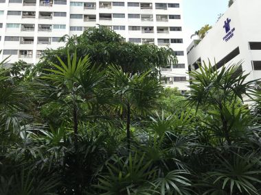 ** Hot Deal! ** For rent at The Clover Thonglor 1 Bedroom 1 Bathroom 46 sqm. 20,000 THB/month Fully furnished