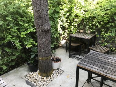 Single Detached House in Ekkamai 12 (Thonglor 10) for SALE