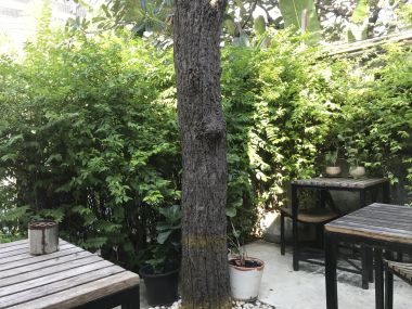 Single Detached House in Ekkamai 12 (Thonglor 10) for SALE