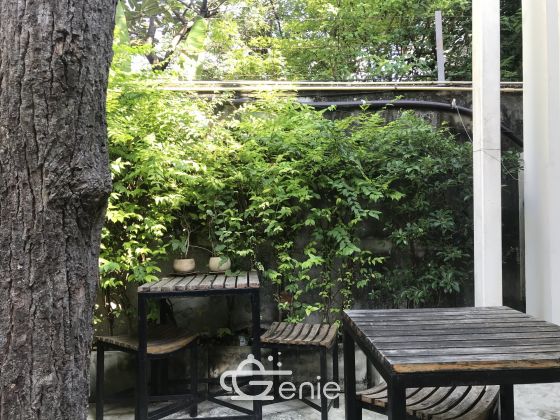 Single Detached House in Ekkamai 12 (Thonglor 10) for SALE