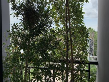 New Home office (Near Central Rachapreuk)