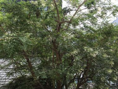 For rent! ! ! at Prime Mansion Promsri 2 Bedroom 2 Bathroom 45, 000THB/month Fully furnished