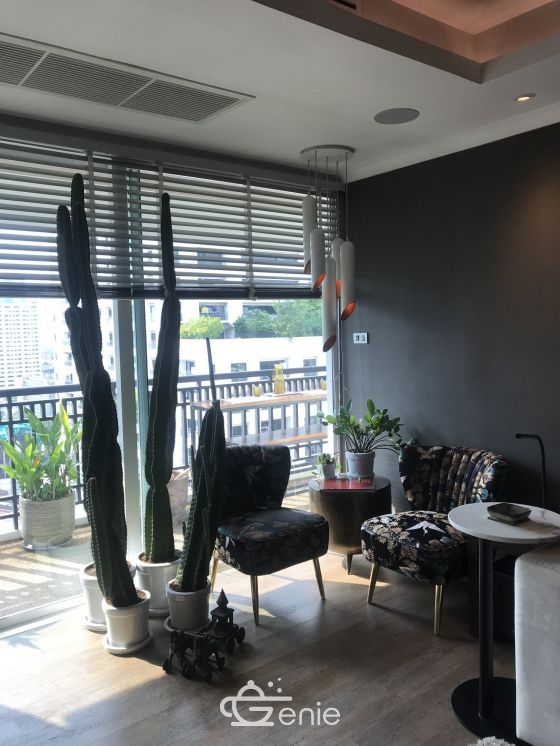 Renovated 3bed 3bath at The Oleander Condo in Sukhumvit 11 For SALE