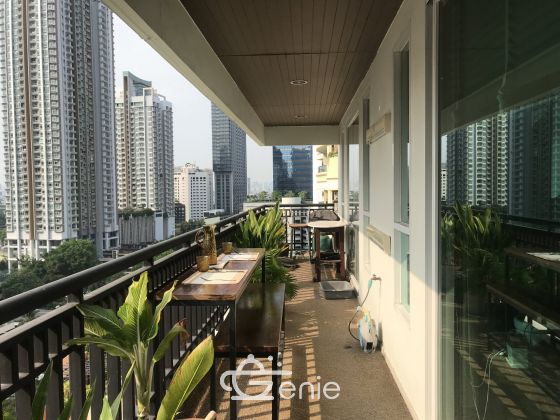 Renovated 3bed 3bath at The Oleander Condo in Sukhumvit 11 For SALE