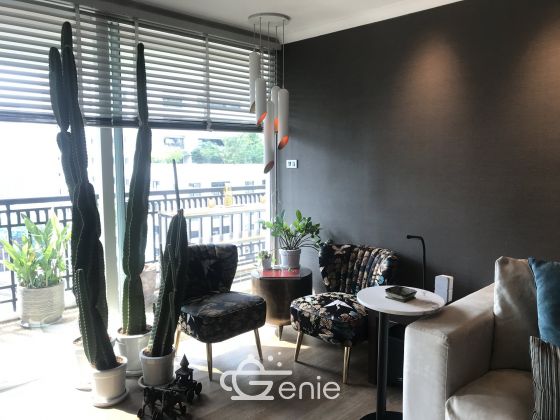 Renovated 3bed 3bath at The Oleander Condo in Sukhumvit 11 For SALE