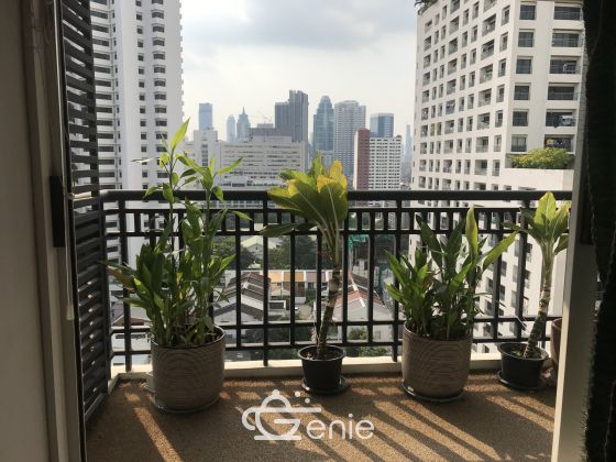 Renovated 3bed 3bath at The Oleander Condo in Sukhumvit 11 For SALE