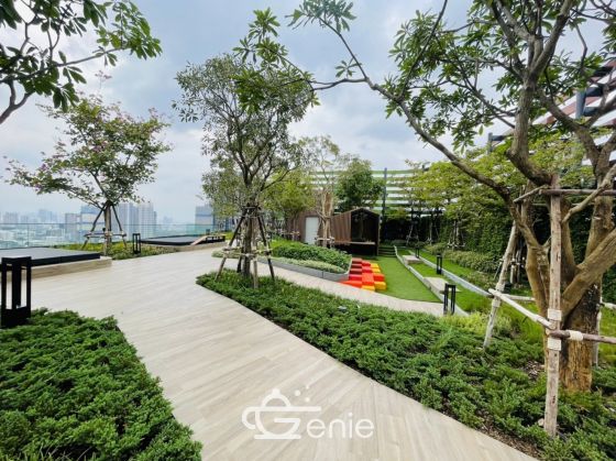 For rent The line phahonyothin park Near bts Ha Yaek Lat Phrao Station