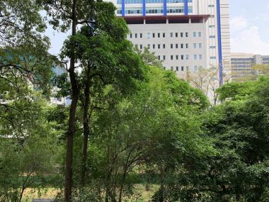 ให้เช่าคอนโดใหม่  The Line Phahonyothinใกล้ bts 5 แยกลาดพร้าว