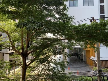 ปล่อยเช่า! The President Sukhumvit 81 ขนาด 35 ตรม. ในราคาเพียง 15,000 บาท/เดือน 1 ห้องนอน 1 ห้องน้ำ 35 ตรม. เฟอร์นิเจอร์ครบพร้อมเข้าอยู่ (ต่อรองราคาได้)