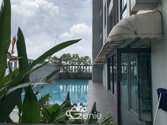 Rent 𝐓𝐡𝐞 𝐏𝐫𝐞𝐬𝐢𝐝𝐞𝐧𝐭 𝟖𝟏 1 bedroom, 1 bathroom, size 38 sq.m., 13,000 baht / month.