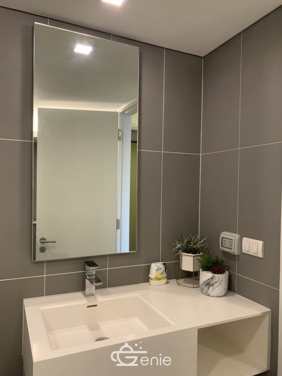 Brand new 1 bedroom loft style for rent in Siamese Sukhumwit by owner (agent wellcome), next to BTS Ounut