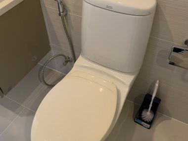 2 Bed 2 Bath with pool view at Siri at Sukhumvit in Thonglor for Sale with Tenant