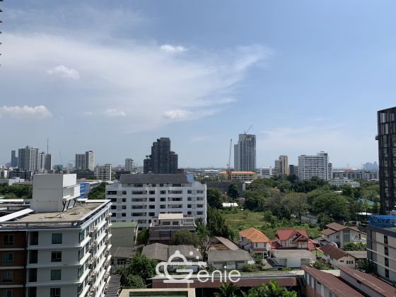 2 Bed 2 Bath with pool view at Siri at Sukhumvit in Thonglor for Sale with Tenant