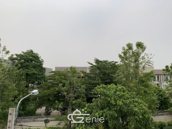 Hot Deal!!! For rent! !! at Townhome The Plant Citi Chaengwattana 25, 000THB/month 3 Bedroom 3 Bathroom Fully furnished