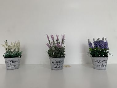 ลดสุดๆ ถูกกว่านี้ไม่มีอีกแล้ว!!** ปล่อยเช่าทาวน์โฮม ** The Plant Citi แจ้งวัฒนะ ในราคาเพียง 25, 000บาท/เดือน 3 ชั้น 3 ห้องนอน 3 ห้องน้ำ ขนาด 25 ตรว. พื้นที่ใช้สอย 180 ตรม. เฟอร์นิเจอร์ครบพร้อมเข้าอยู่