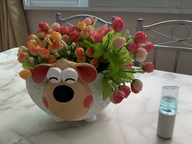 ลดสุดๆ ถูกกว่านี้ไม่มีอีกแล้ว!!** ปล่อยเช่าทาวน์โฮม ** The Plant Citi แจ้งวัฒนะ ในราคาเพียง 25, 000บาท/เดือน 3 ชั้น 3 ห้องนอน 3 ห้องน้ำ ขนาด 25 ตรว. พื้นที่ใช้สอย 180 ตรม. เฟอร์นิเจอร์ครบพร้อมเข้าอยู่