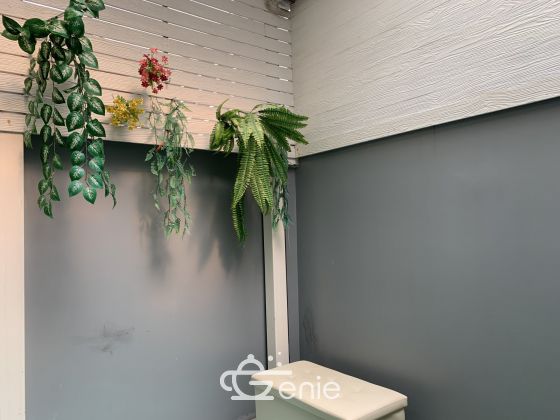 Hot Deal!!! For rent! !! at Townhome The Plant Citi Chaengwattana 25, 000THB/month 3 Bedroom 3 Bathroom Fully furnished